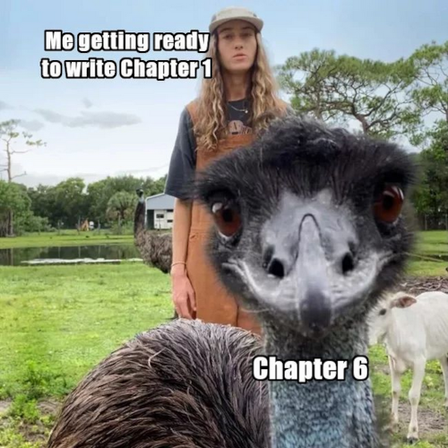 Screenshot of and hyperlink to an Instagram post by Pothi.com. The image is an exploitable featuring Emmanuel the Emu at Knuckle Bump Farms in Florida. Emmanuel is interrupting his caretaker's video recording by investigating her phone's camera. The overlay for the caretaker says, Me getting ready to write Chapter 1. The overlay for Emmanuel says, Chapter 6.